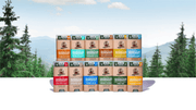 Invisible Glide 6-Pack