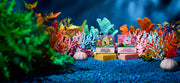 SpongeBob 4-Pack