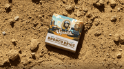 Bronco Bricc