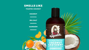 Coconut Castaway Conditioner