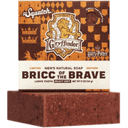 Bricc of the Brave
