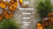 Birchwood Breeze Deodorant - Story Pack