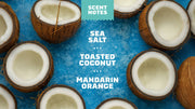 Coconut Castaway Deodorant - Daily Outdoor Fresh