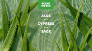 Cool Fresh Aloe Lotion