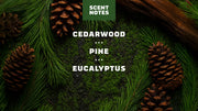 Pine Tar Deodorant - Smooth Daily Glide