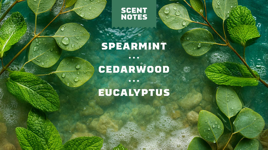 Rainforest Rapids Refreshing Face Wash