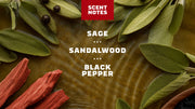 Sandalwood Summit Spray Deodorant - Travel Fresh Shield