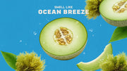 Coastal Mist - Modern Trail Bar