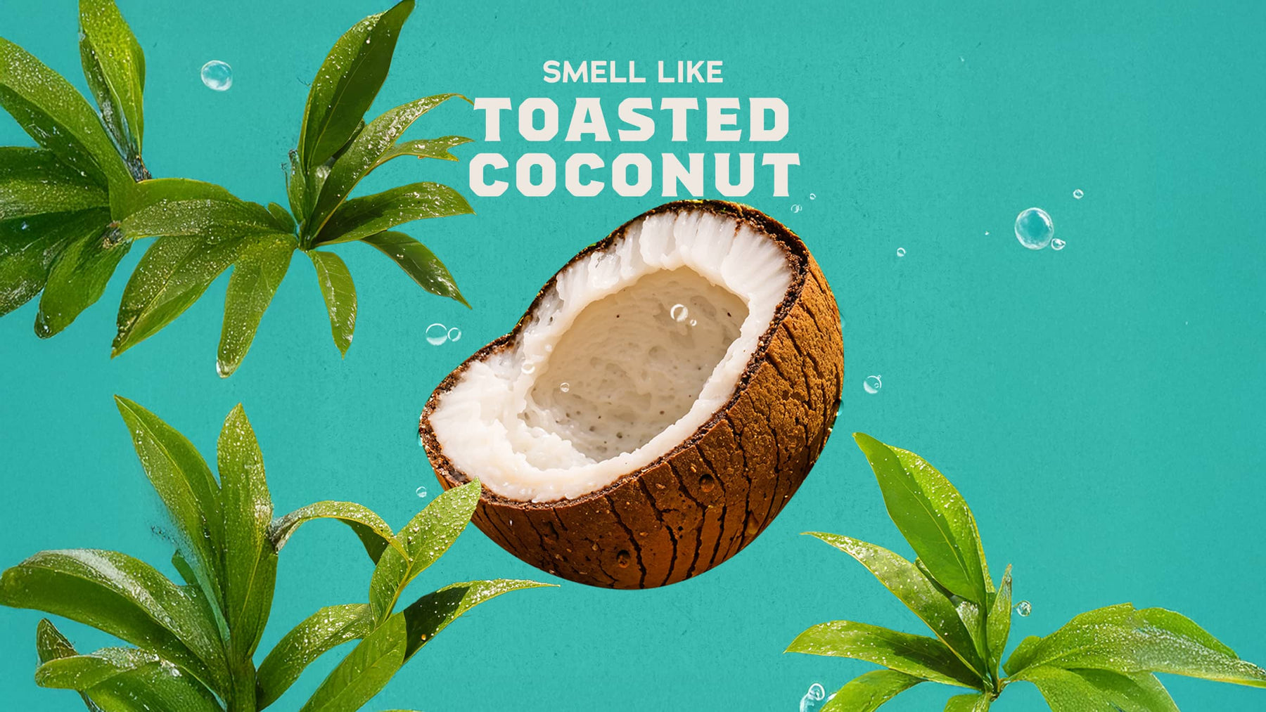 Coconut Castaway Lotion - Daily Comfort Routine