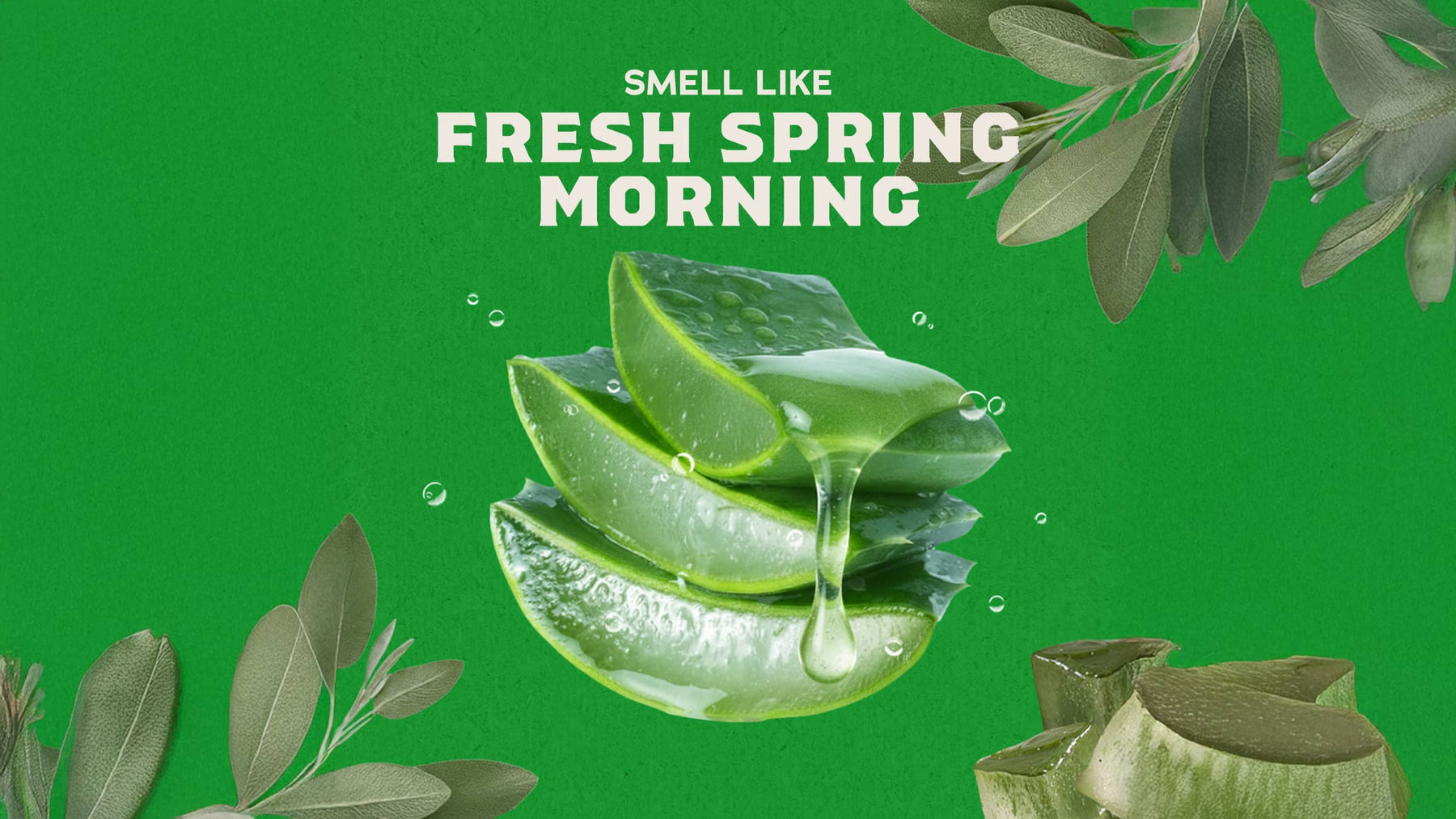 Cool Fresh Aloe Lotion