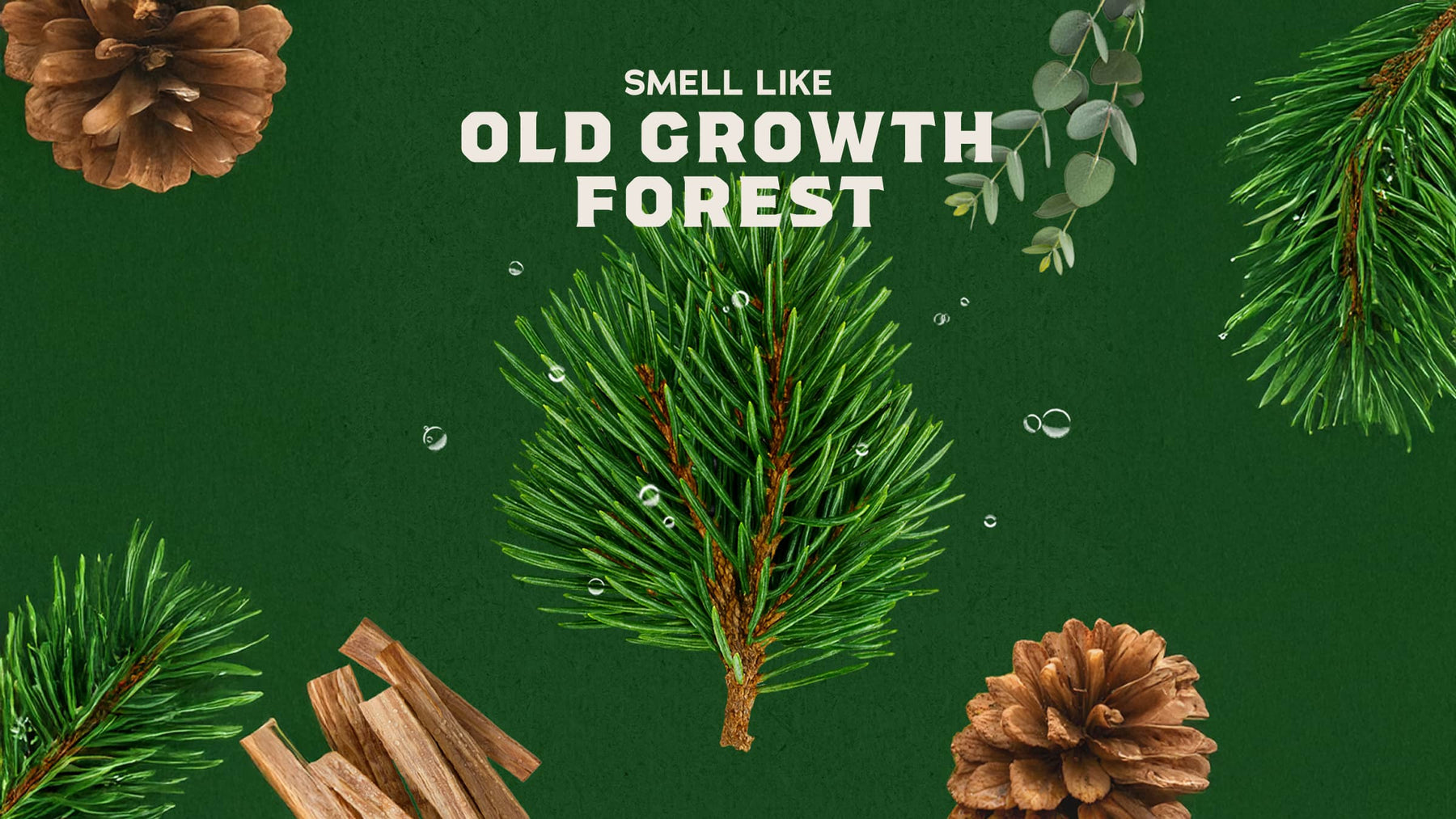 Pine Tar Deodorant - Smooth Daily Glide