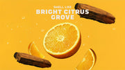 Summer Citrus - Shower Ready
