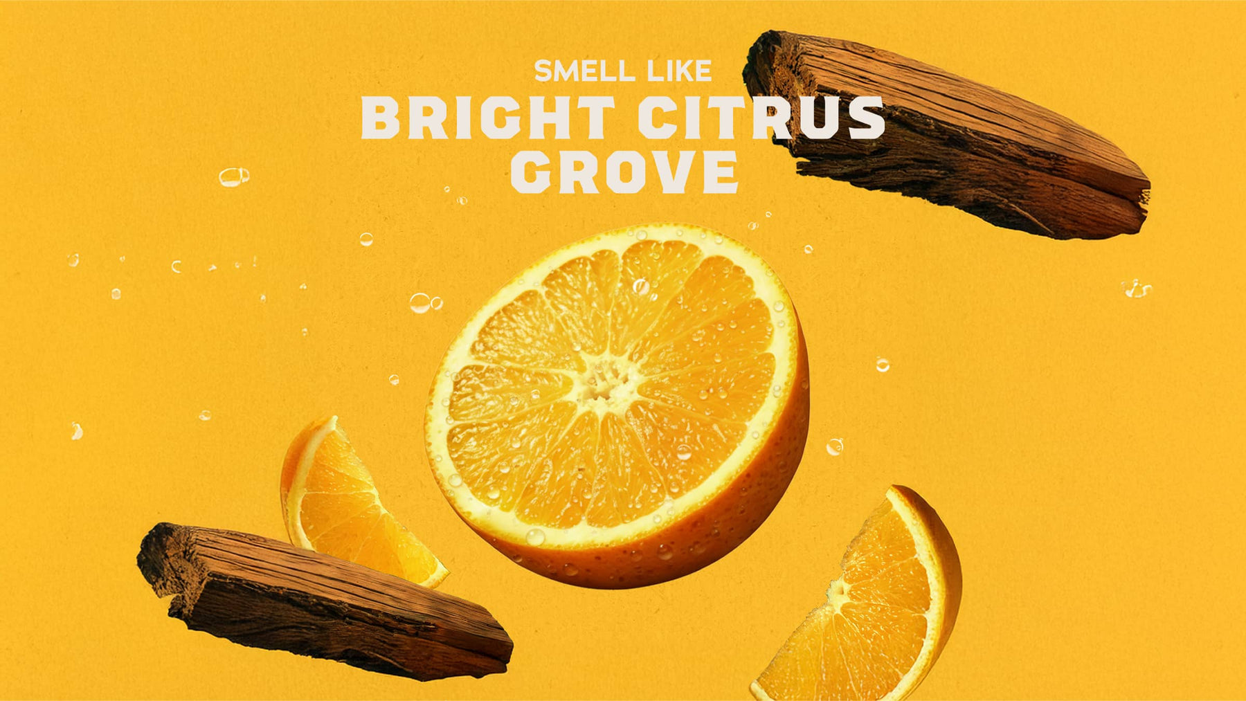 Summer Citrus Conditioner - Trail Blend
