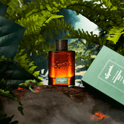 Rainforest Mist Cologne with Free Deo!
